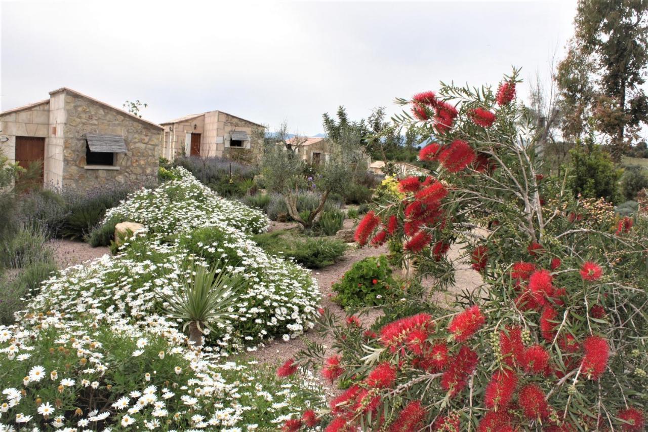 Agroturisme Es Raco De Maria Hotel Maria De La Salut Exterior photo