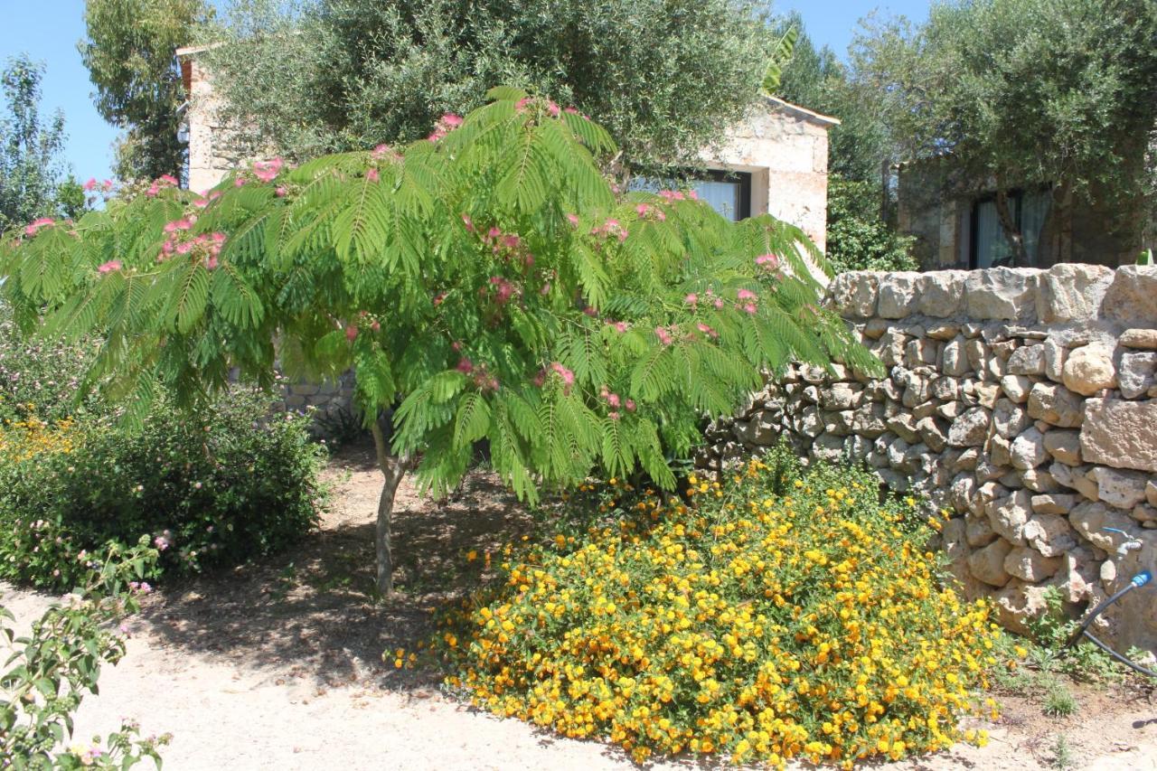 Agroturisme Es Raco De Maria Hotel Maria De La Salut Exterior photo