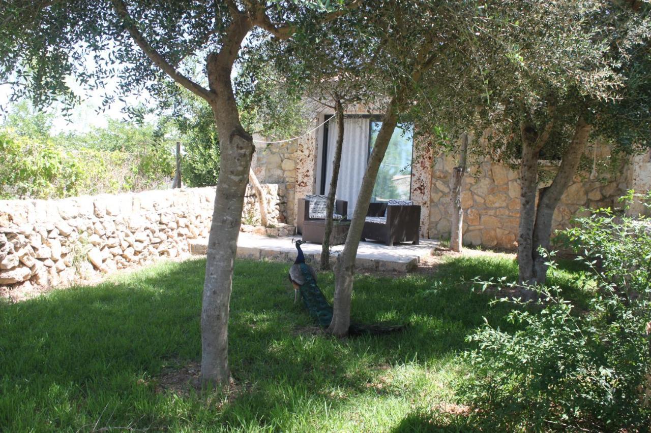 Agroturisme Es Raco De Maria Maria De La Salut Exterior photo
