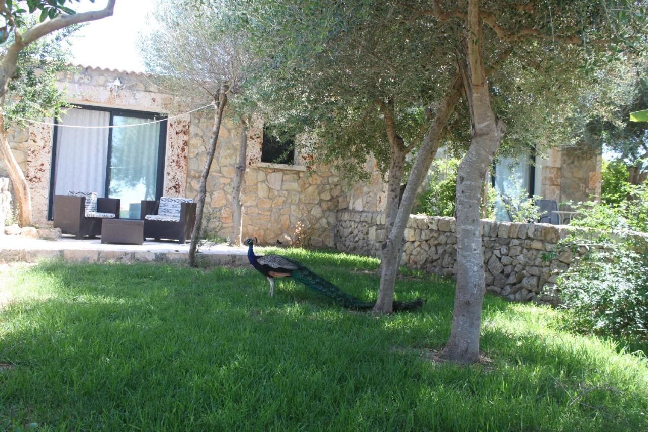 Agroturisme Es Raco De Maria Maria De La Salut Exterior photo