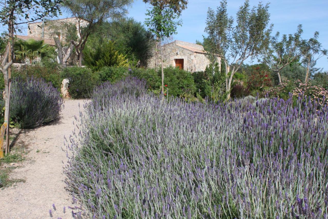 Agroturisme Es Raco De Maria Hotel Maria De La Salut Exterior photo