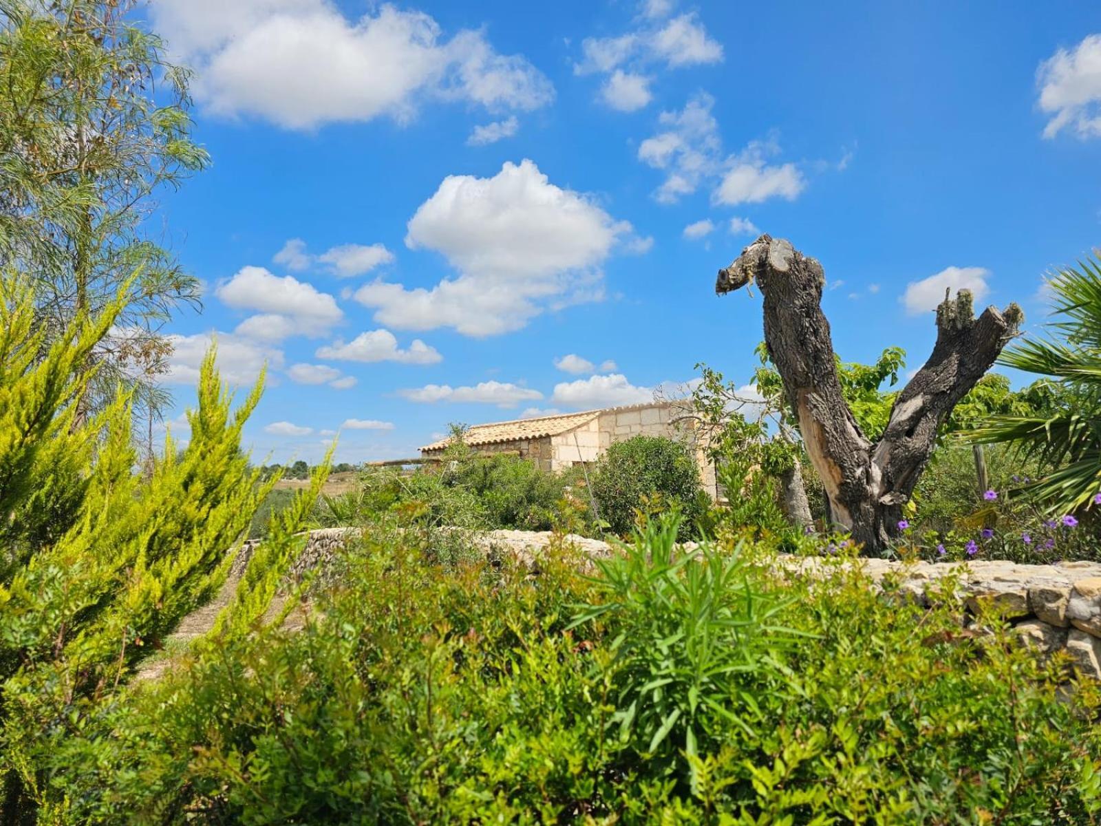 Agroturisme Es Raco De Maria Hotel Maria De La Salut Exterior photo