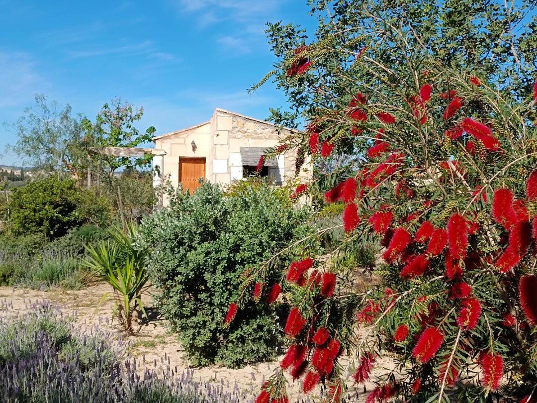 Agroturisme Es Raco De Maria Hotel Maria De La Salut Exterior photo