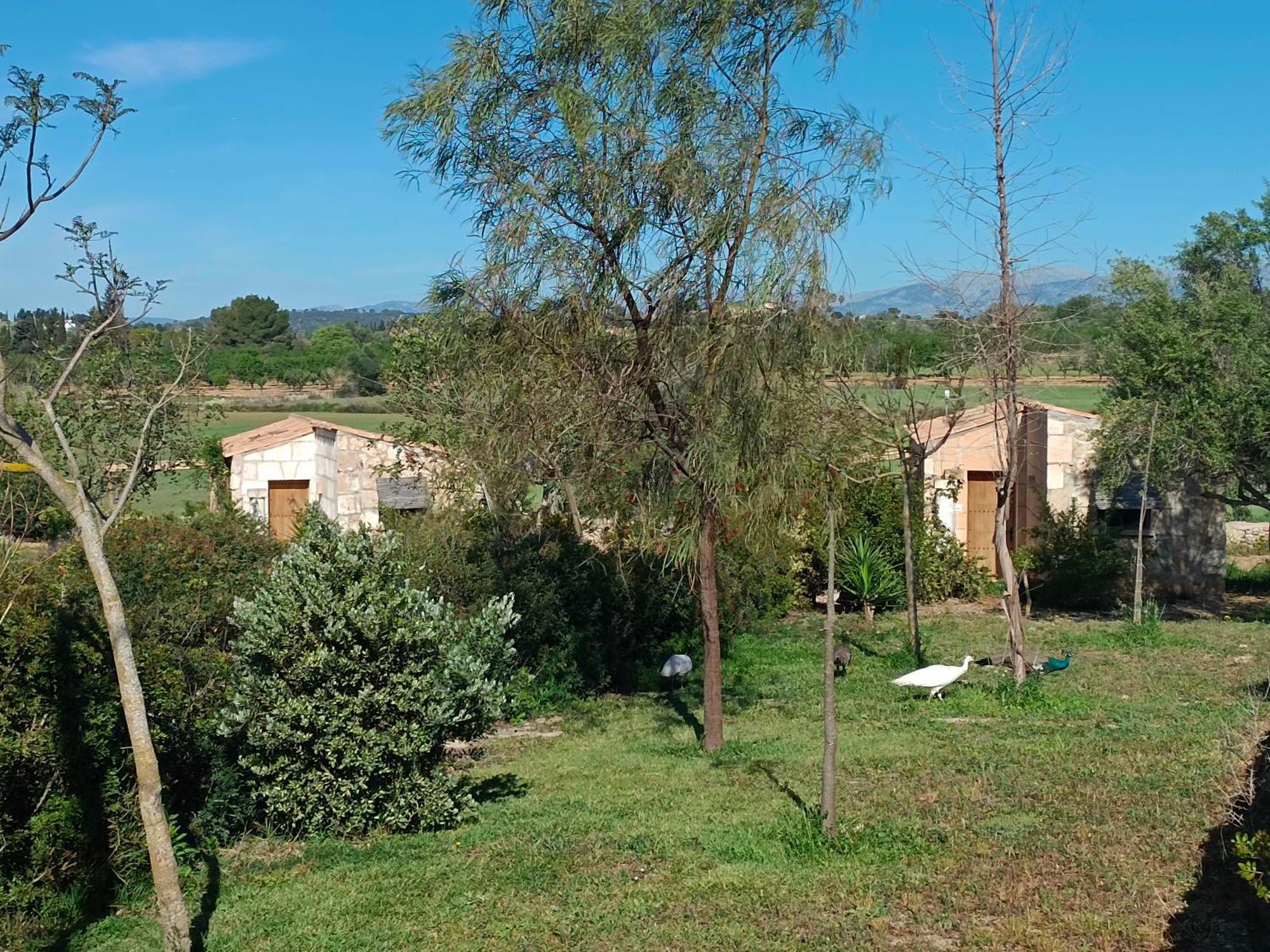 Agroturisme Es Raco De Maria Maria De La Salut Exterior photo